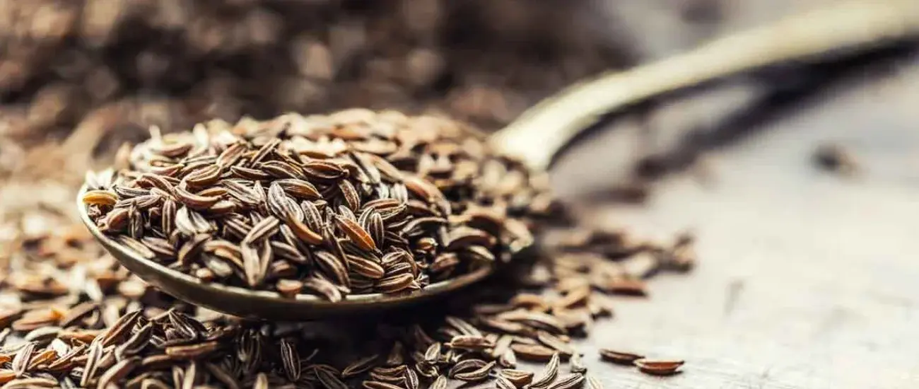 Caraway seed
