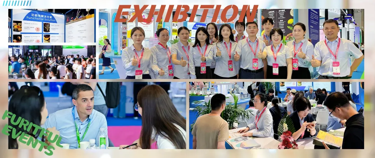 exhibiition exhibiition