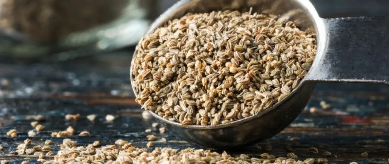 Celery seed extract Celery seed extract