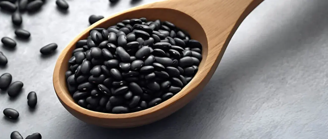 Black Bean Black Bean