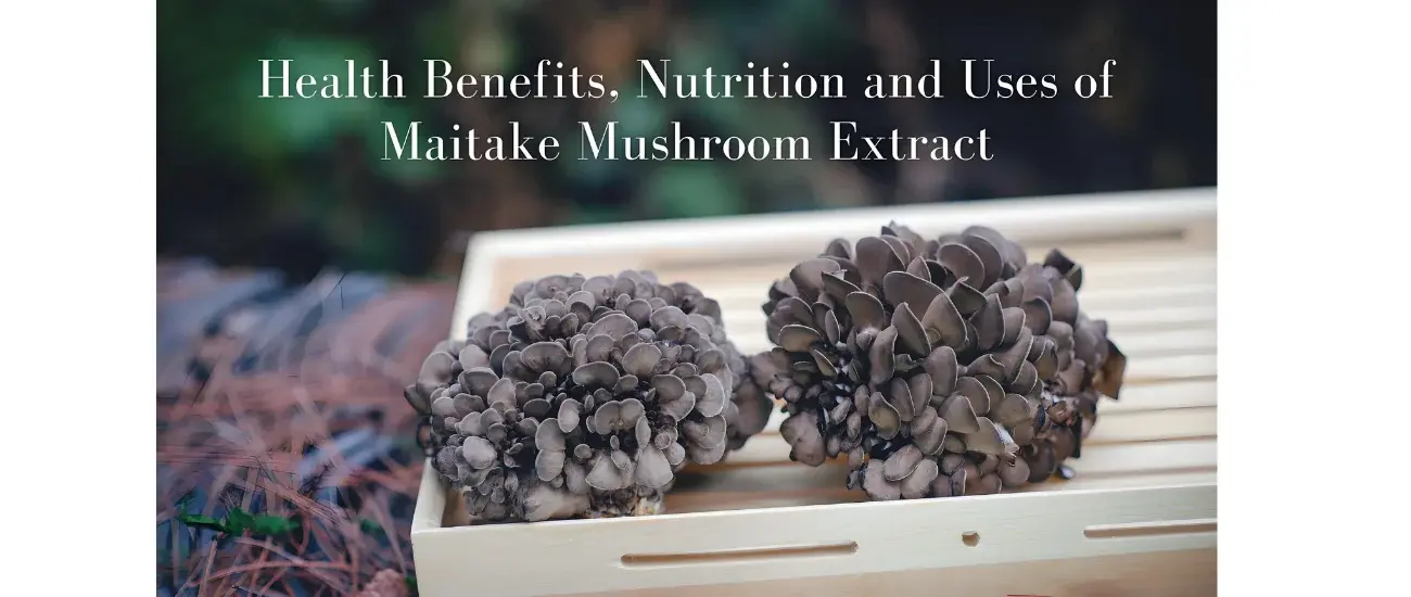 maitake maitake