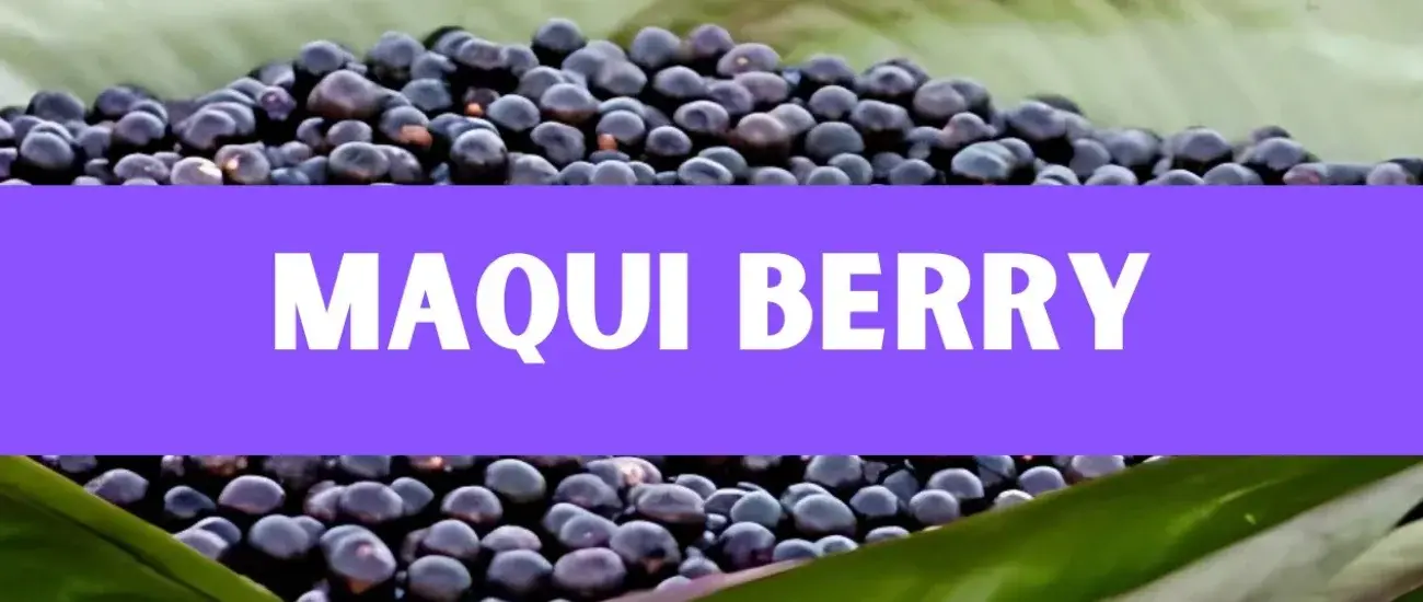 maquiberry maquiberry