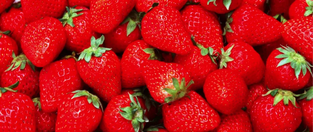 Strawberry Strawberry