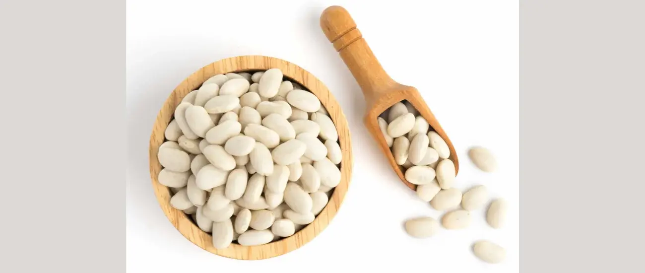 white kidney bean