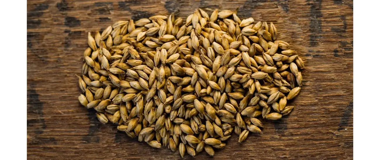 malt extract malt extract