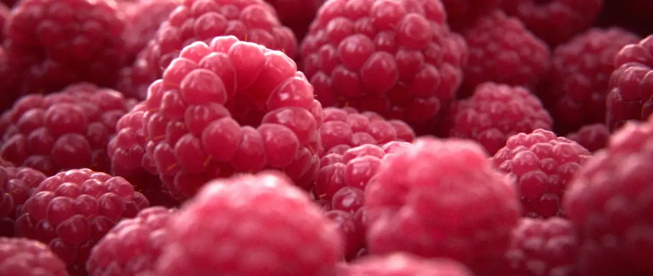 raspberry