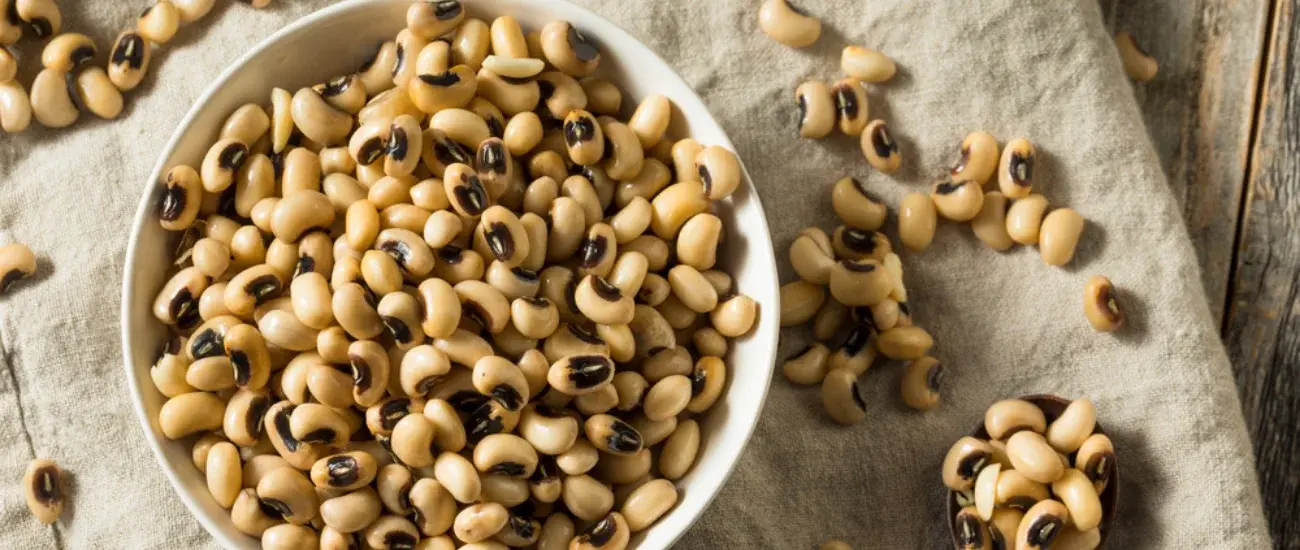 Black-Eyed Pea Black-Eyed Pea