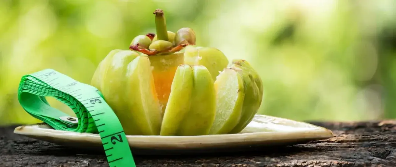 garcinia cambogia