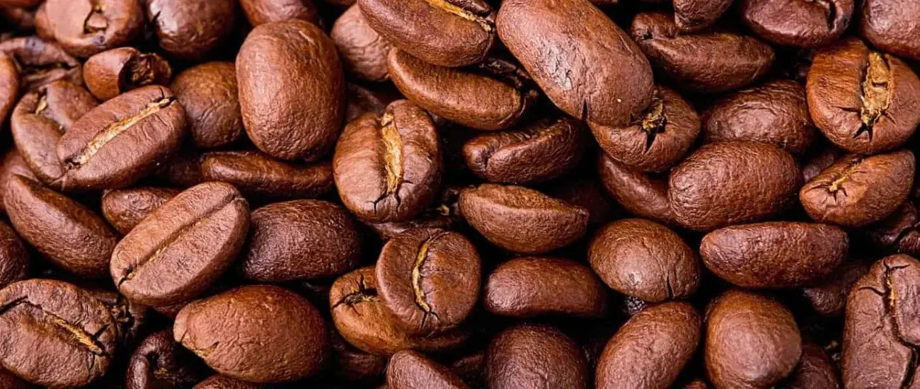 Coffee Extract Coffee Extract