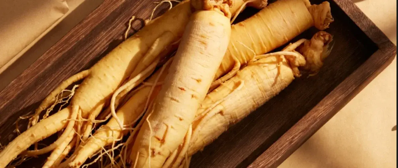 Korean Red Ginseng Korean Red Ginseng