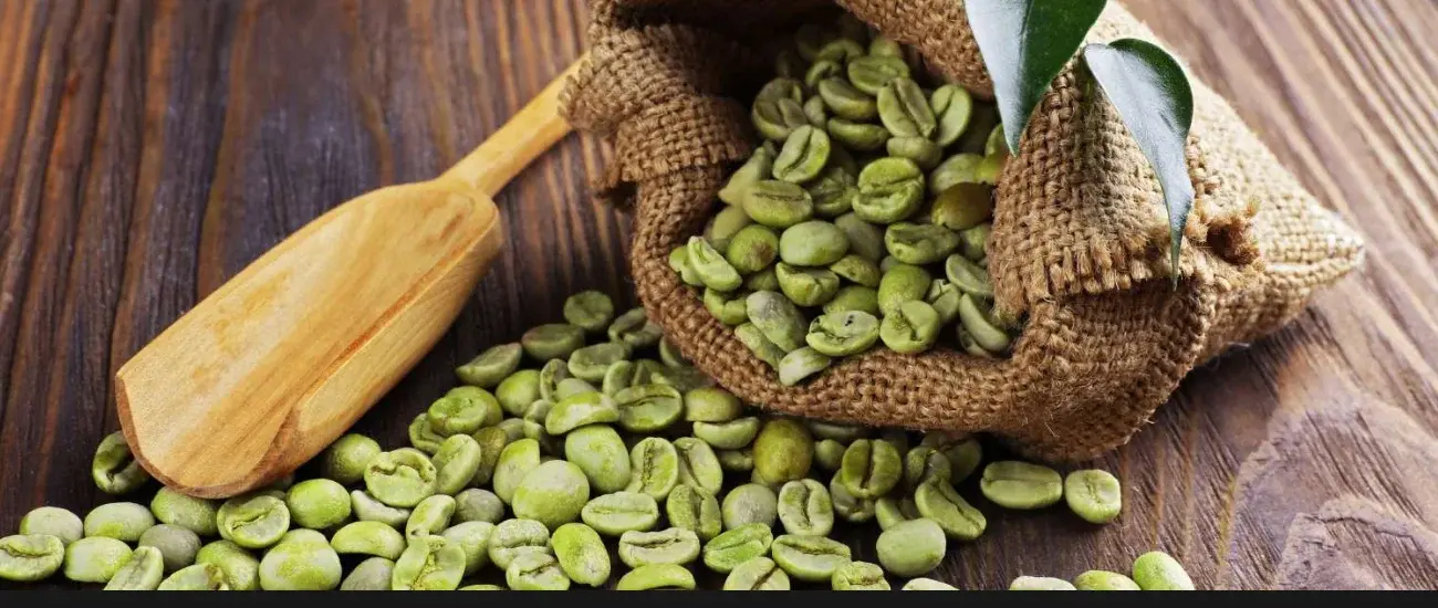 Green coffee bean
