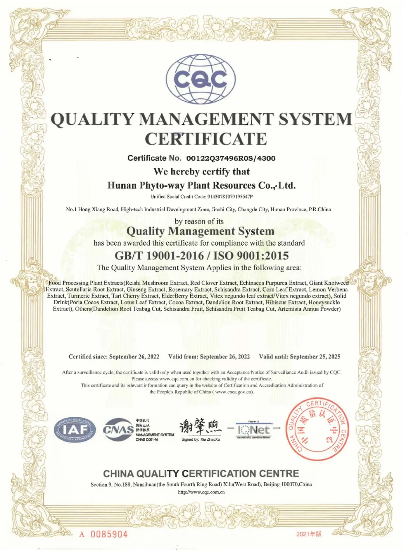 ISO 9001