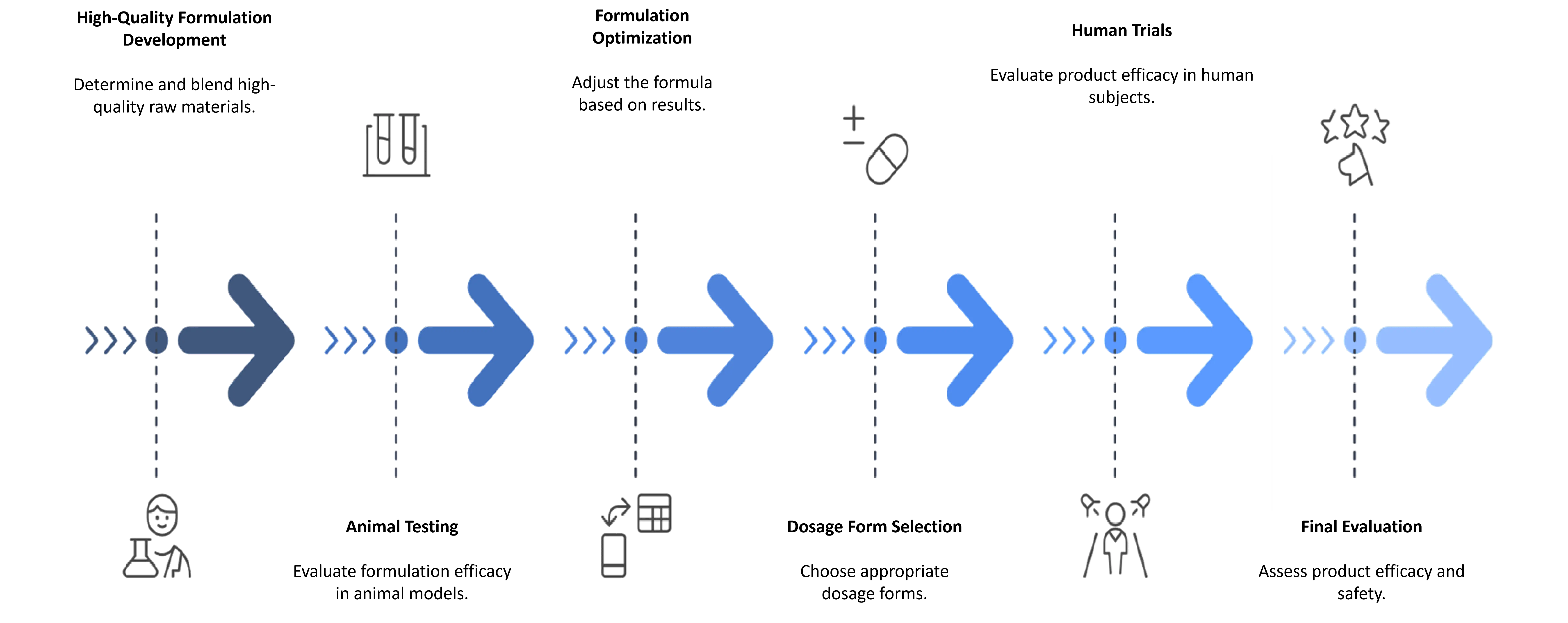 Functional Research
