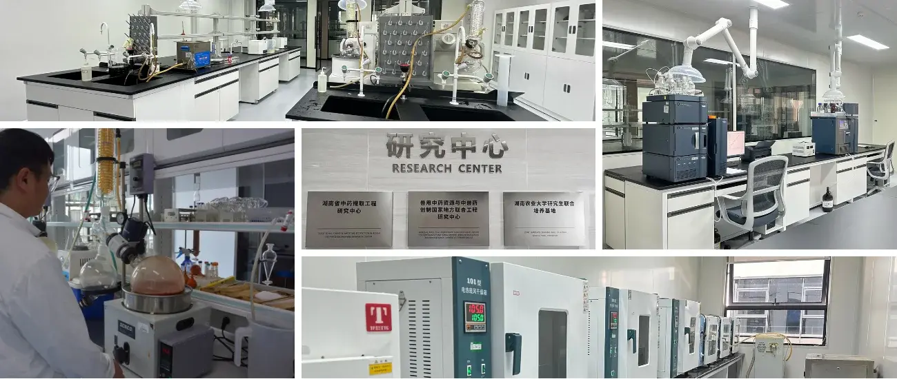 lab