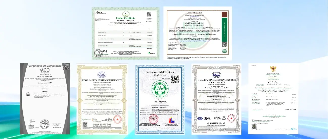 Certification Certification