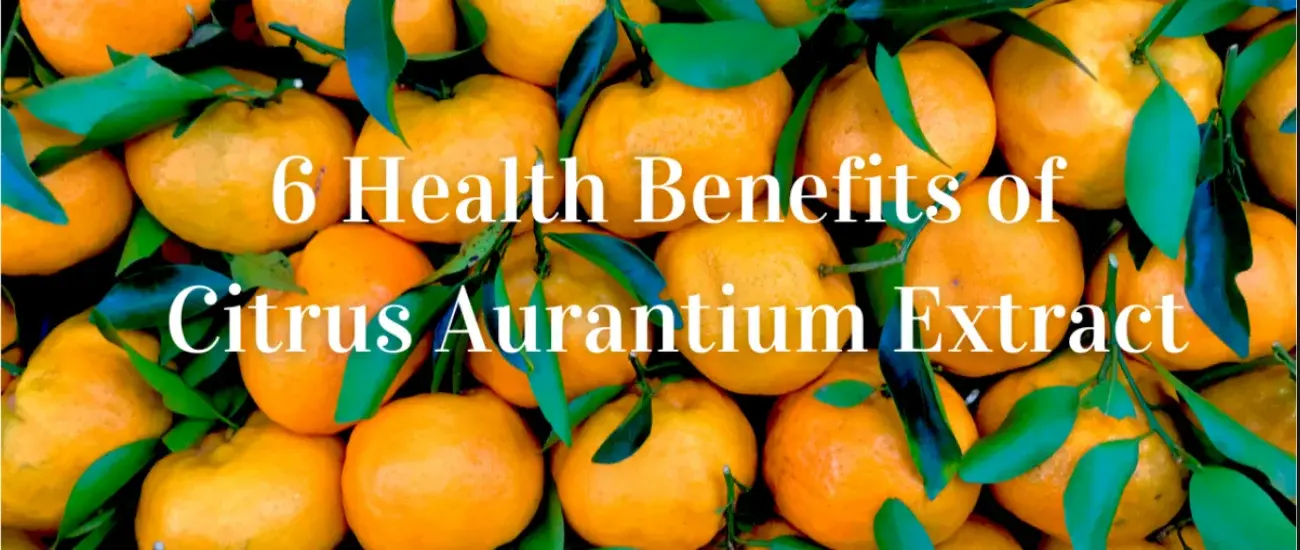 Citrus Aurantium Citrus Aurantium