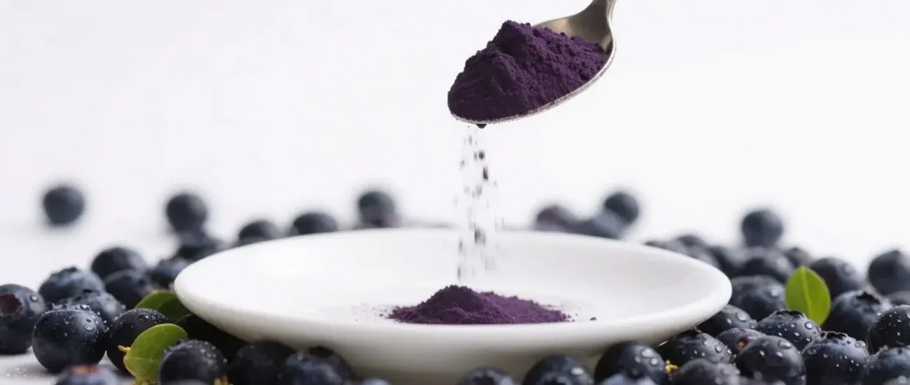 Bilberry extract Bilberry extract